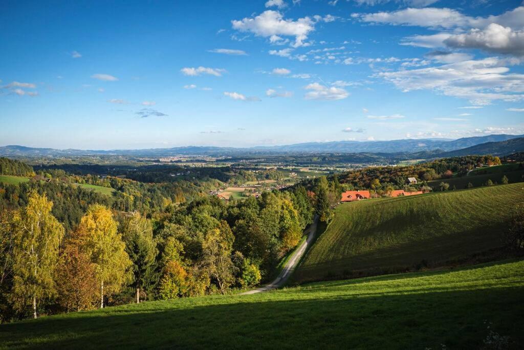 Chalet-Suedsteiermark - Traumhafte Aussicht, Infinity Pool, Privatsphaere, Klima Und De-Luxe Ausstattung Schwanberg Exterior photo