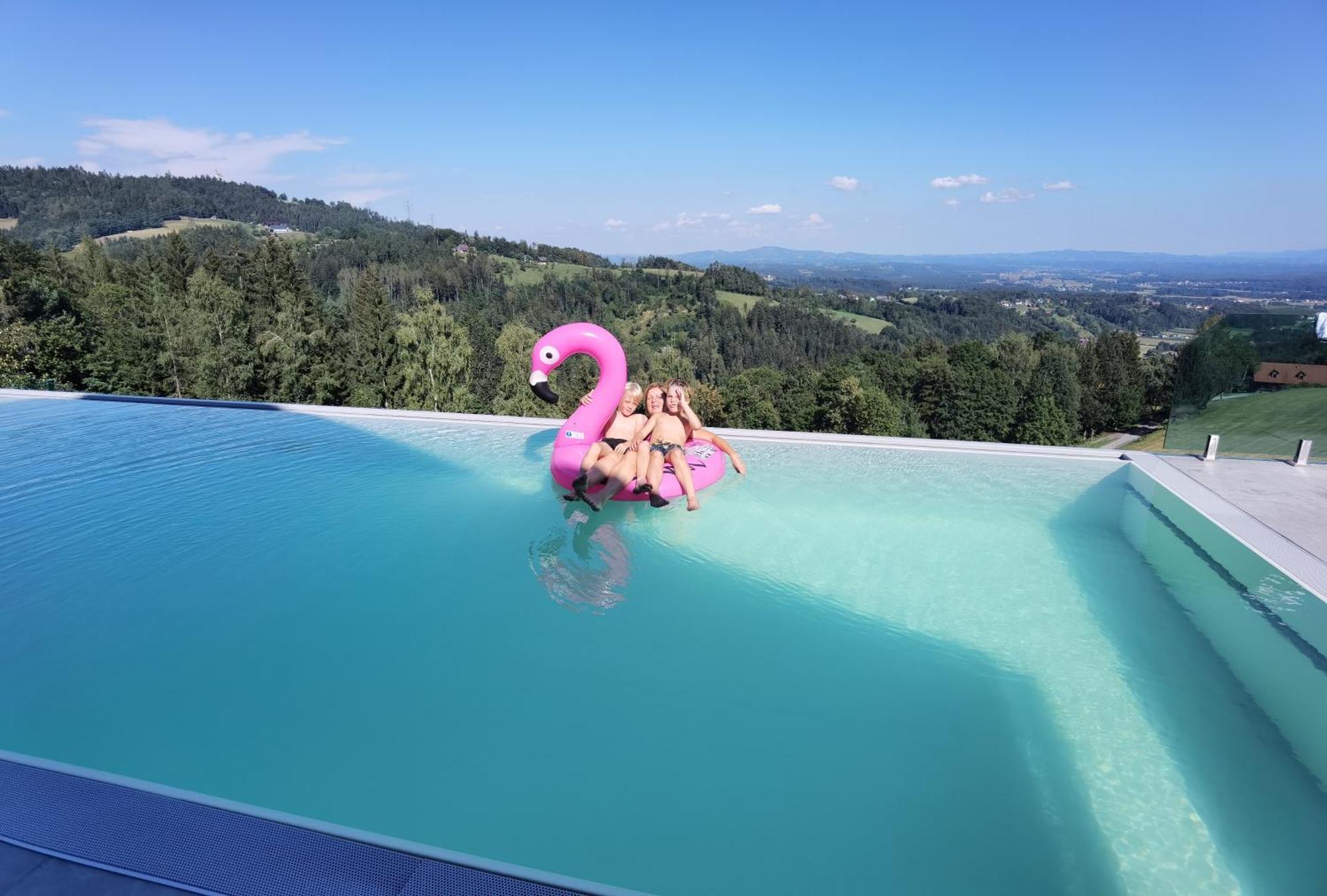 Chalet-Suedsteiermark - Traumhafte Aussicht, Infinity Pool, Privatsphaere, Klima Und De-Luxe Ausstattung Schwanberg Exterior photo